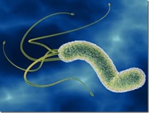 HELICOBACTER-PYLORI