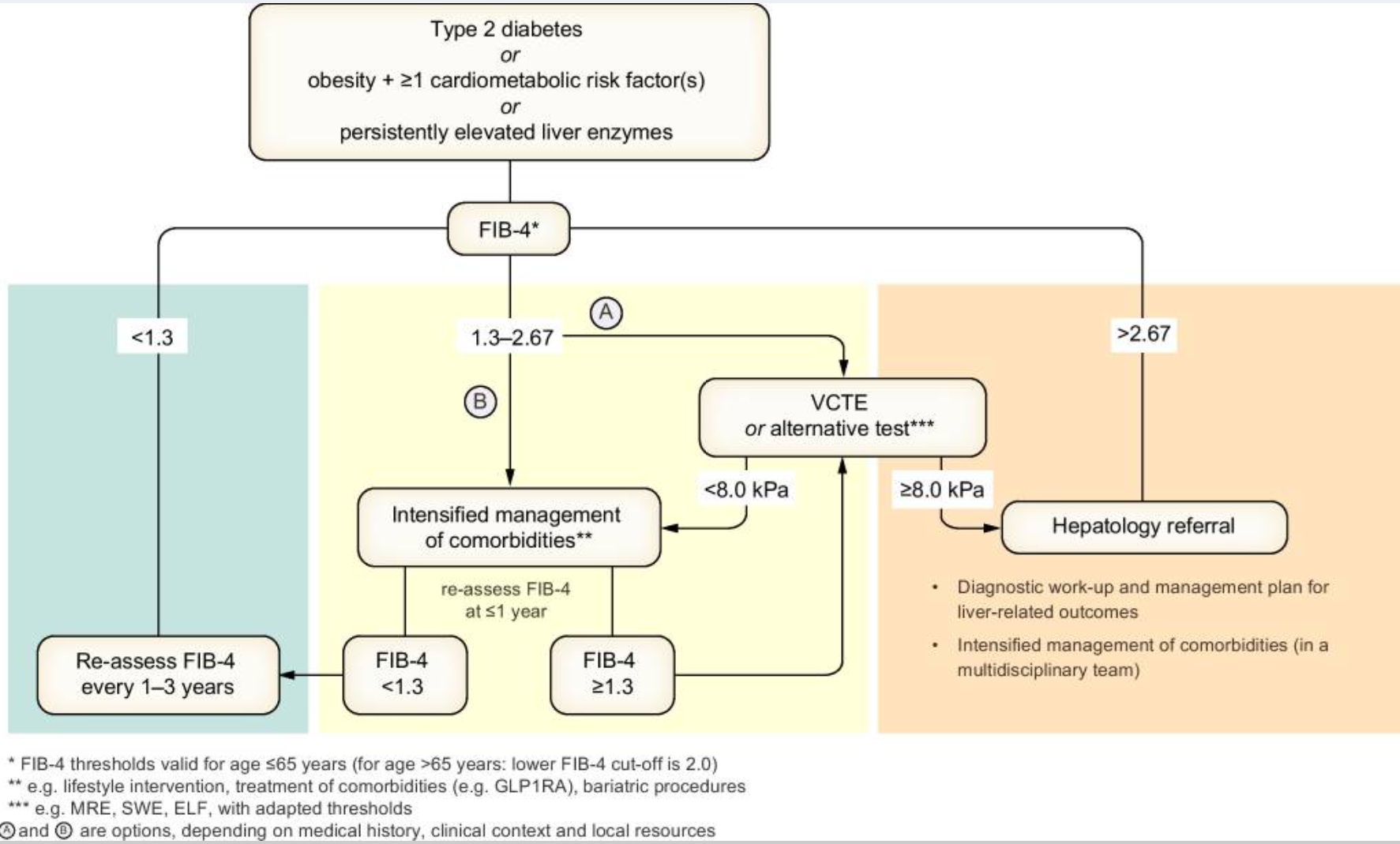 Proposed strategy for non-invasive assessment of advanced fibrosis risk in individuals with metabolic risk or suspected steatotic liver disease (SLD).
People with (1) type 2 diabetes, (2) abdominal obesity plus one or more additional cardiometabolic risk factors, or (3) persistently elevated liver enzymes should follow the stepwise approach outlined in the figure. This includes identifying MASLD and assessing fibrosis severity to stratify liver-related outcome risk. The same process applies when steatosis is incidentally detected.

Abbreviations: MRE – magnetic resonance elastography; SWE – shear wave elastography. VCTE - vibration control transient elastography
